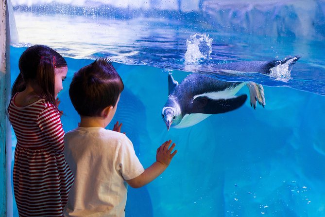 Hunstanton SEA LIFE Sanctuary General Admission Ticket - Who will get the most from this sanctuary?