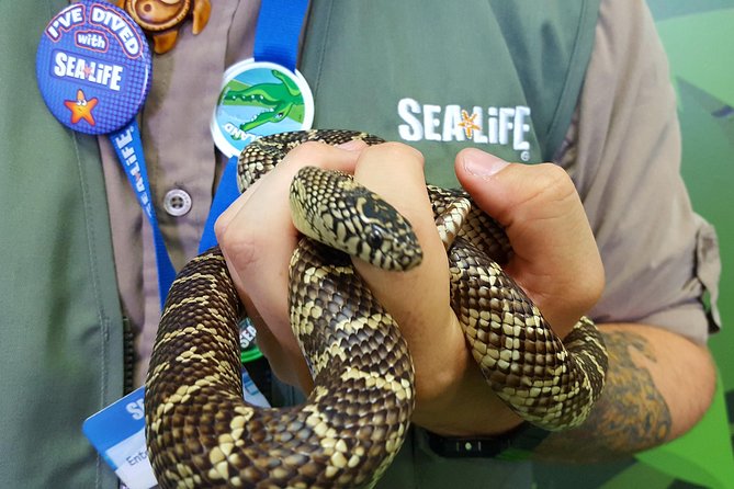 Hunstanton SEA LIFE Sanctuary General Admission Ticket - Watch the otters Smartie, Twix, and Yorkie