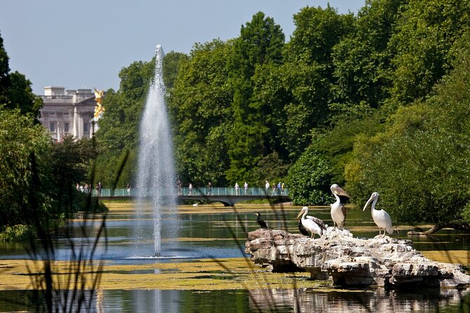 Inside Buckingham Palace State Rooms & Royal London Walking Tour - The Mall, royal processions, and Wellington Barracks