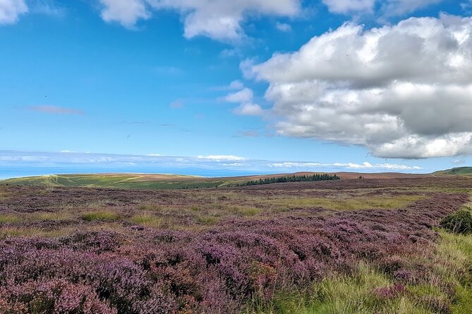 Isle of Man Discovery Tour with experienced Driver Guide - Maughold brings Celtic and Viking history into view