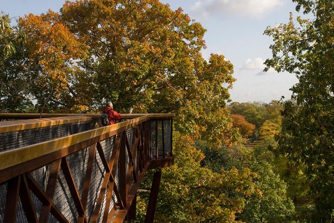 Kew Gardens Entrance Ticket - Key points to know before you go