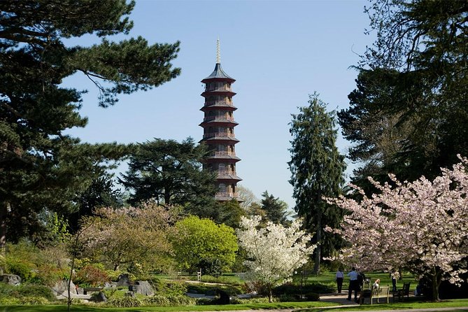 Kew Gardens Entrance Ticket - Entering Kew Gardens and setting your own pace
