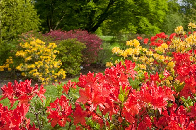 Kew Gardens Entrance Ticket - Is the $30.37 ticket good value?