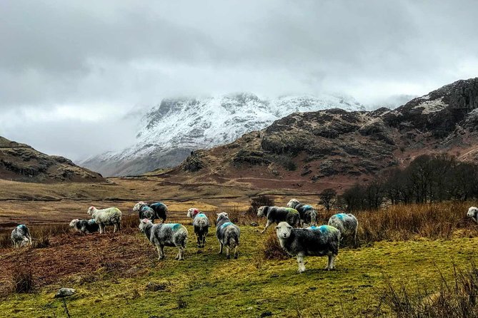 Lake District Adventure Sightseeing Day Trip from Liverpool - Key points to know before booking