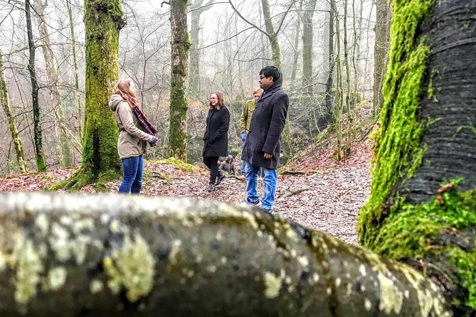 Lake District Adventure Sightseeing Day Trip from Liverpool - What the guide adds to the day