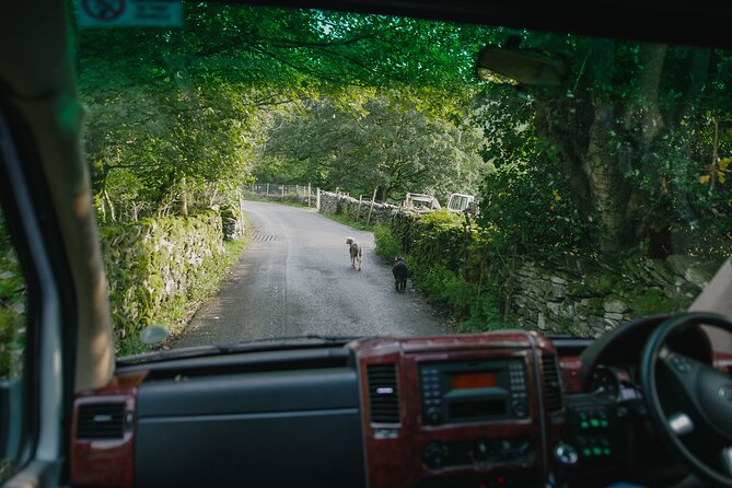 Lake District from Manchester Including Lake Cruise - Hawkshead, the day’s best walking stop