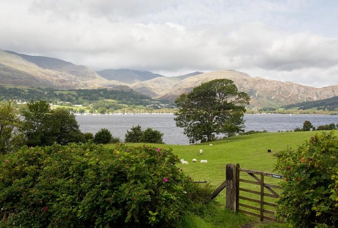 Lakes & mountains, spectacular scenery with an easy short walk - Tarn Hows, a man-made beauty spot with a natural feel