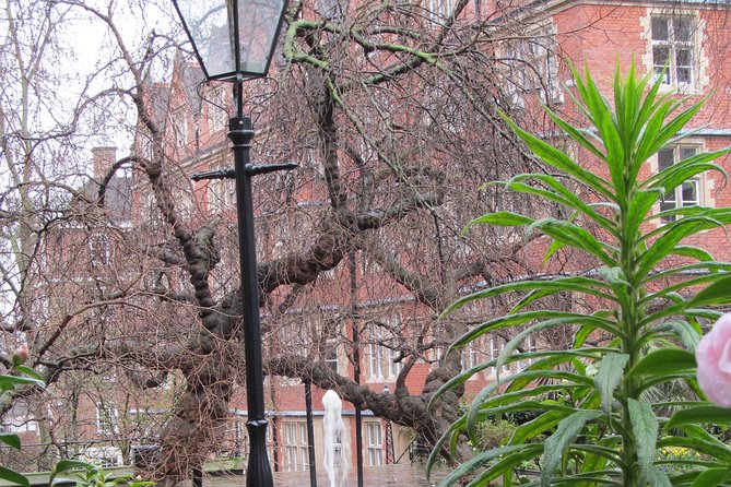Law in London Private Tour - A realistic look at the guide quality