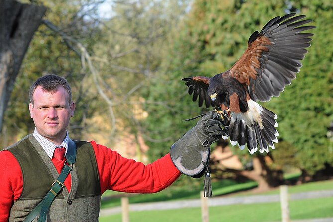Leeds Castle Admission - Ultimate Explorer Tickets - What the Ultimate Explorer Ticket actually gives you