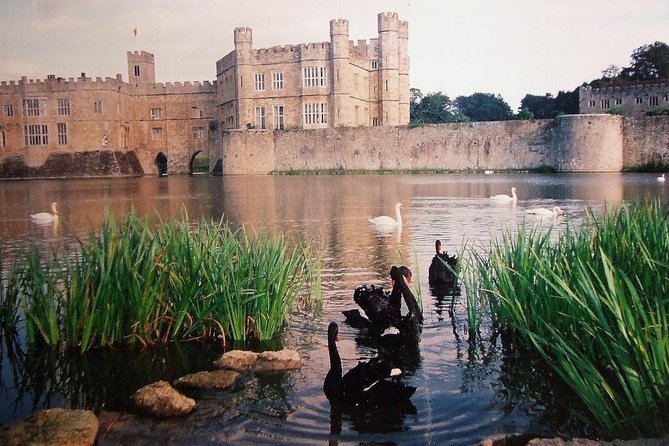 Leeds Castle, Canterbury and White Cliffs of Dover - Driver Guide - The White Cliffs of Dover in a short coastal stop
