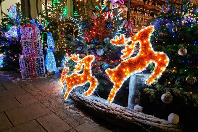 London Christmas Lights Bike Tour with Local Guide - Carnaby Street and Regent Street