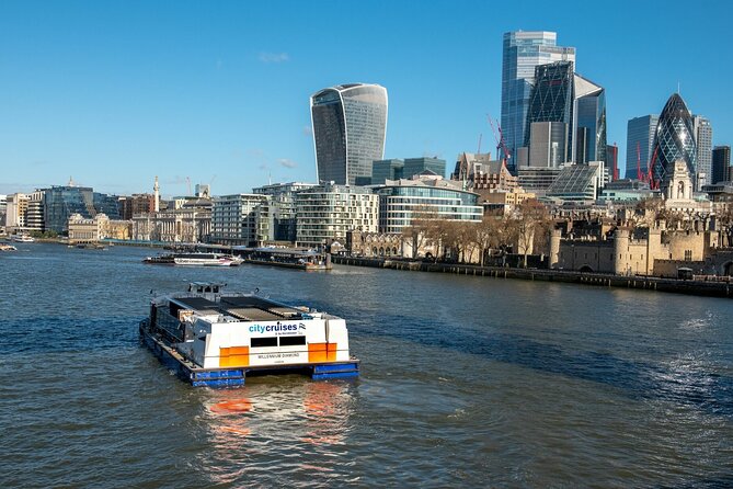 London: Harry Potter Walk, Hop-on Hop-off Bus Tour and Cruise - The skyline from St Paul’s to The Shard