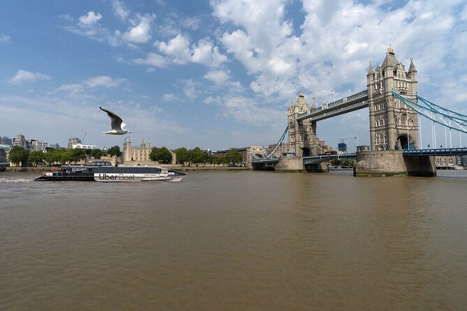 London: IFS Cable Car + Uber Boat One Way River Thames Cruise - The IFS Cloud Cable Car from Greenwich Peninsula
