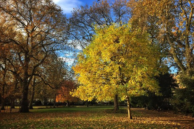 London Literary Private Walking Tour Of Bloomsbury - Why Bloomsbury makes such a good walking subject