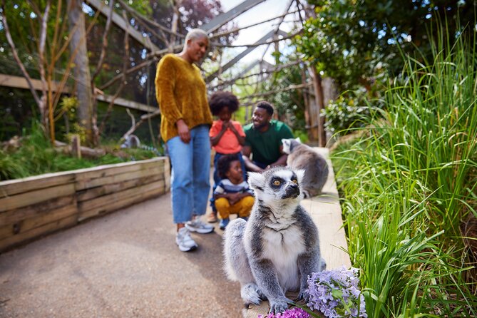 London Zoo Entry Ticket - What your London Zoo ticket really gives you