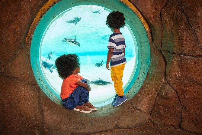 London Zoo Entry Ticket - Conservation value and the mixed condition of the zoo
