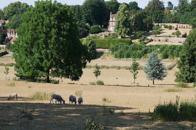 Midsomer Murders Tour from London - Time, walking, and group size
