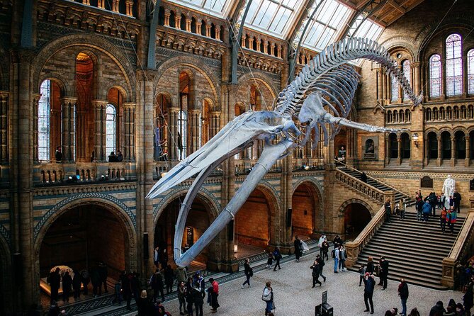Natural History Museum London - Exclusive Guided Museum Tour - Key points to know before booking