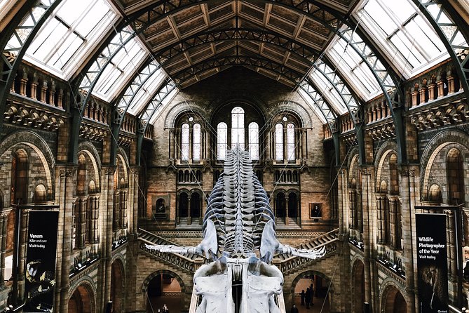 Natural History Museum London - Exclusive Guided Museum Tour - Why a guide helps inside this enormous museum
