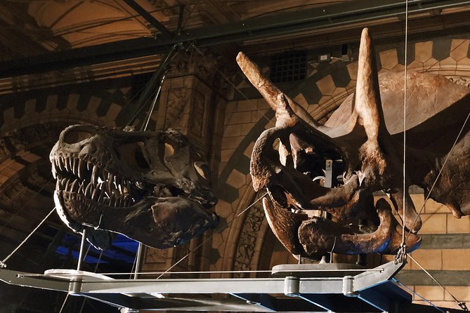 Natural History Museum London - Exclusive Guided Museum Tour - The Dodo, fossils, and the story of extinction