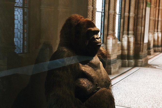 Natural History Museum London - Exclusive Guided Museum Tour - Pompeii casts and unsettling human stories