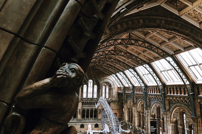 Natural History Museum London - Exclusive Guided Museum Tour - Rare plants, cursed gemstones, and the giant sequoia slice