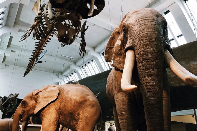 Natural History Museum London - Exclusive Guided Museum Tour - The building is part of the tour