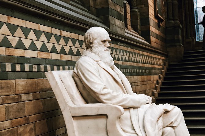 Natural History Museum London - Exclusive Guided Museum Tour - What the two-hour pace feels like