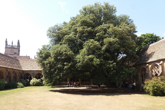 New College Oxford Harry Potter Insights PRIVATE TOUR Daily - What the private format changes