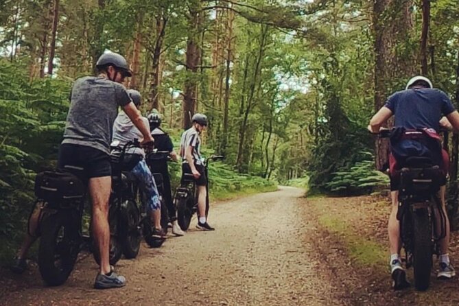 New Forest E-Bike Adventure - How the five assist levels change the ride