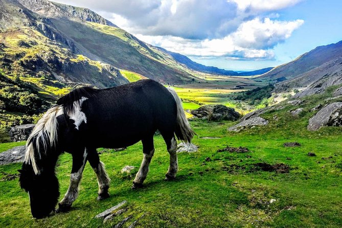 North Wales Adventure Sightseeing Day Trip from Liverpool - Conwy gives you medieval Wales in 75 minutes