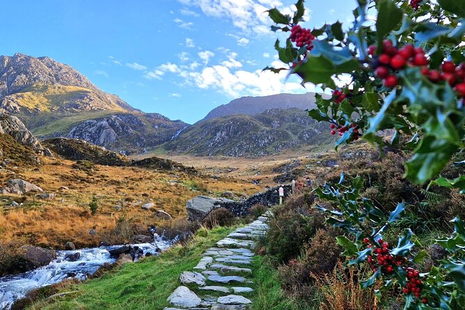 North Wales & Caernarfon Castle Full-Day Tour from Manchester - What the $79.53 price really covers