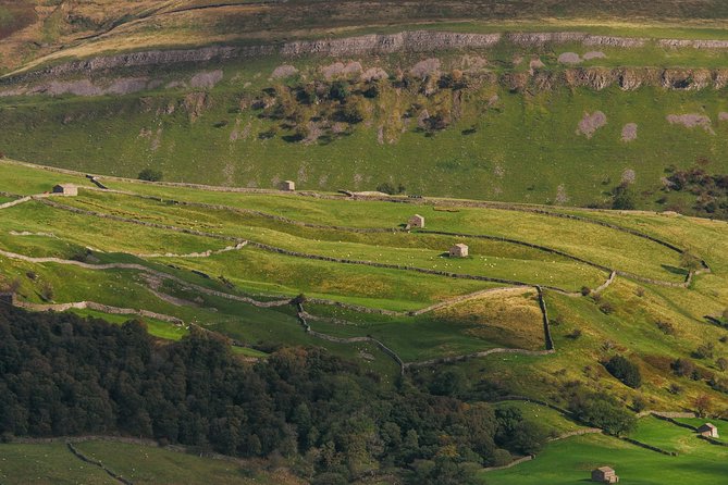 North York Moors and Whitby Day Tour from York - Is $77.67 good value?