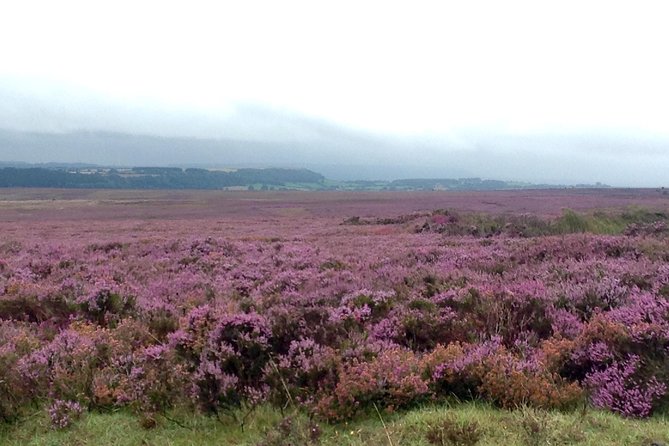 North York Moors and Whitby Day Tour from York - Helmsley adds village life and a castle option