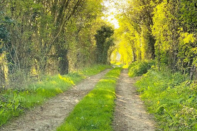 One Day Tour from London to The Cotswolds - Who should book this Cotswolds tour