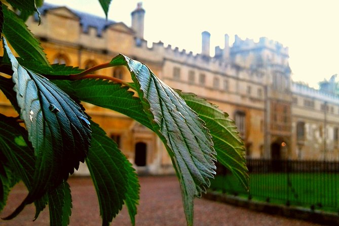 Oxford PRIVATE Pub and City Evening Walking Tour - Bodleian Library and the university from the street