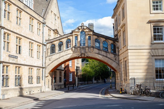 Oxford University Walking Tour With University Alumni Guide - The Divinity School, Oxford’s medieval showpiece