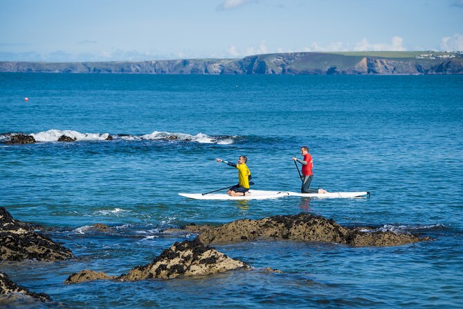 Paddleboarding Around Newquay's Coastline - Wildlife and local stories on the water