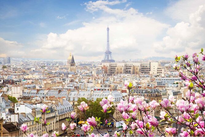 Paris by Rail with Sightseeing Bus and River Seine Lunch Cruise - Why the Seine lunch cruise earns top billing