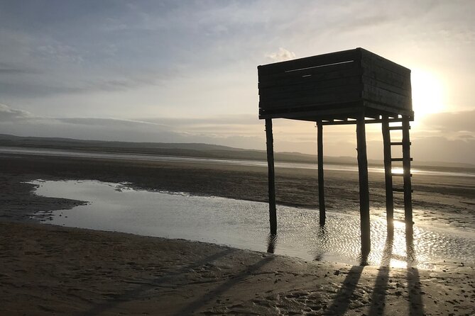 Pilgrims' Path walk across the sands to Holy Island - Wildlife, sand, and the barefoot choice