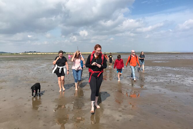 Pilgrims' Path walk across the sands to Holy Island - The castle view is brief, not a castle tour