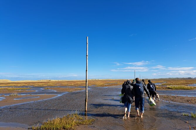 Pilgrims' Path walk across the sands to Holy Island - The 3:30 am start at Beal Farm