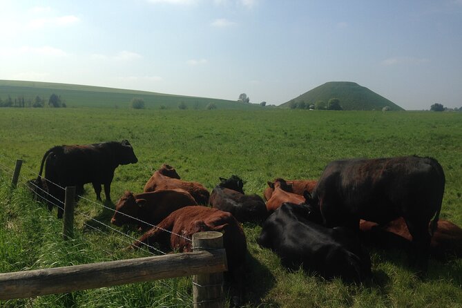 Private Archaeologist Guided Tour Stonehenge, Salisbury & Avebury - The Alton Barnes White Horse and Wiltshire views