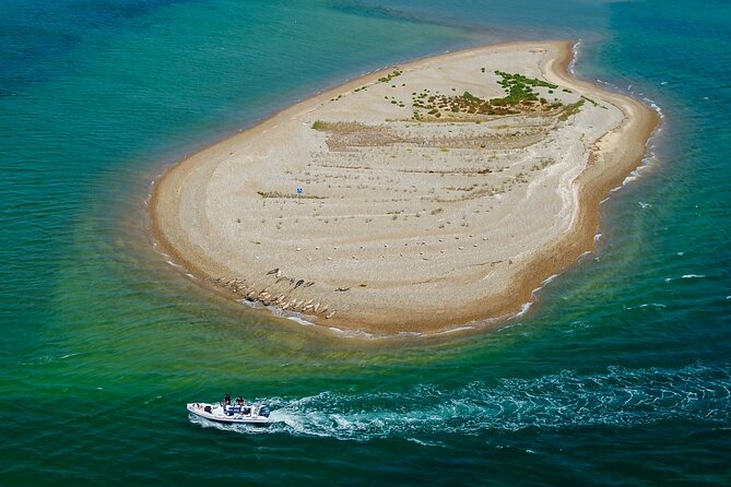 Private Boat Sightseeing Tour along The North Norfolk Coast - A clear safety briefing before the fun begins