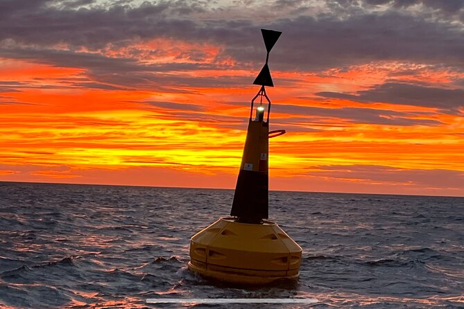 Private Boat Sightseeing Tour along The North Norfolk Coast - Blakeney seals and the wider coast