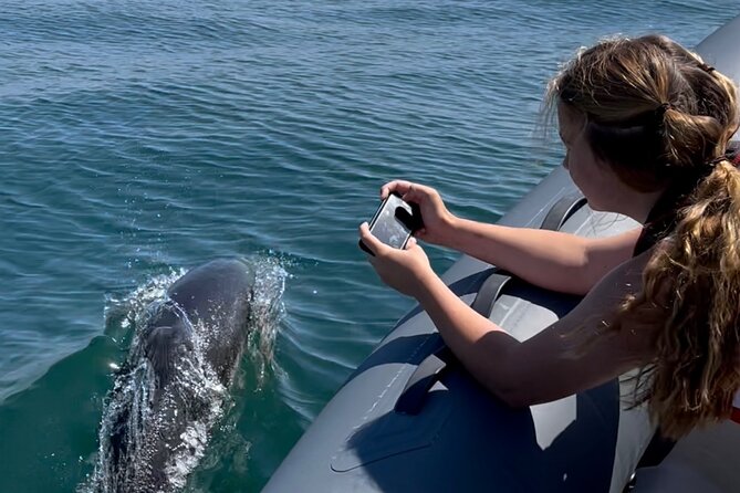 Private Coastal Boat Tour in Torquay - Setting out from Torquay Marina