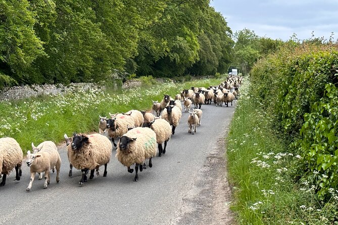 Private Day Tour from Bath to the Captivating Cotswolds - A country inn lunch and the quieter Cotswolds