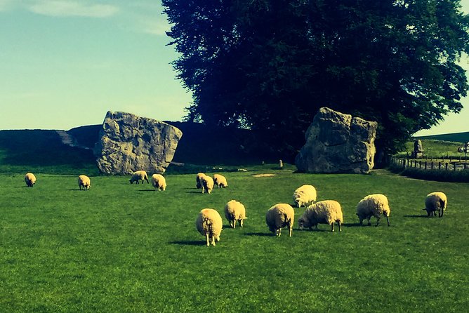 Private Day Tour to Bath, Avebury & The Cotswolds - Bath: the main event and your lunch stop