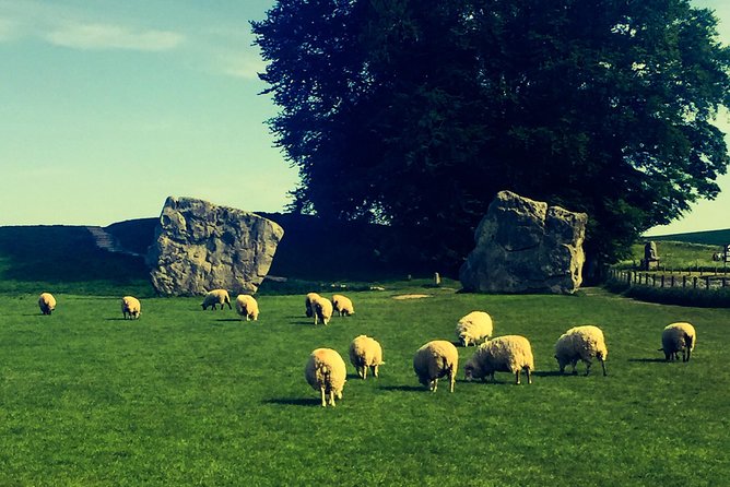 Private Day Tour to Bath, Avebury & The Cotswolds - Price, group size, and what you still pay