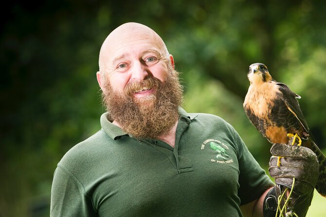 Private Family Bird of Prey Experience in Carlisle - Key points to know before you book